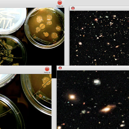 Petri Dishes and an Expanding Universe